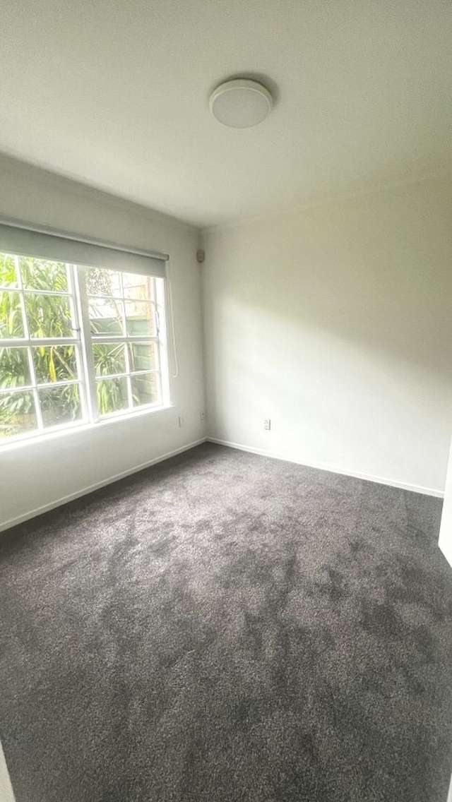 562B Manukau Road Epsom_3