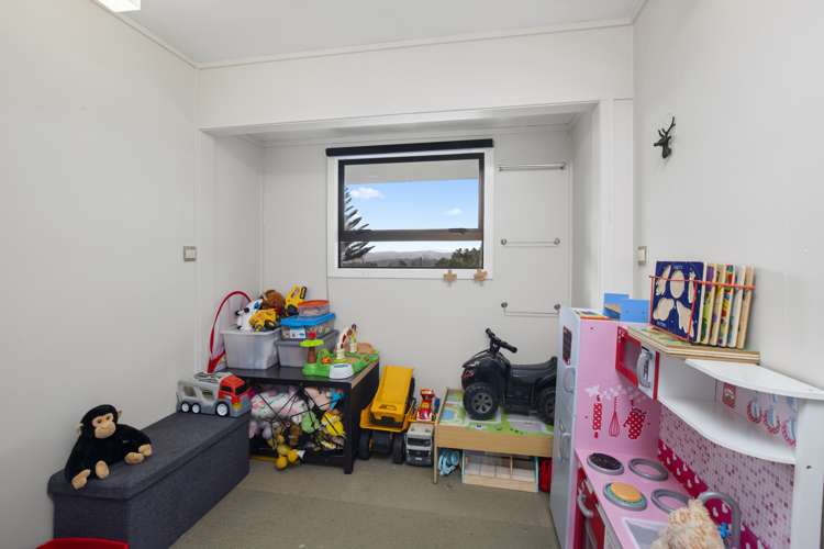 619 Mercer Ferry Road Pukekawa_8