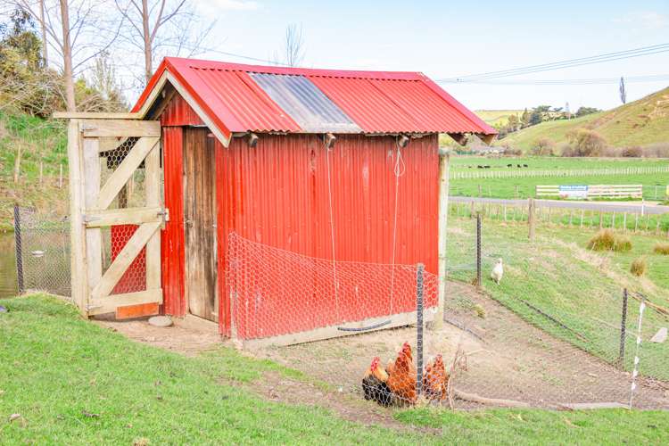 653 No 3 Line Okoia_16