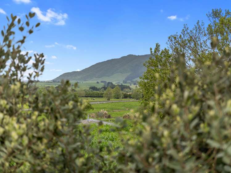 16 Pokuru Road Te Awamutu_22