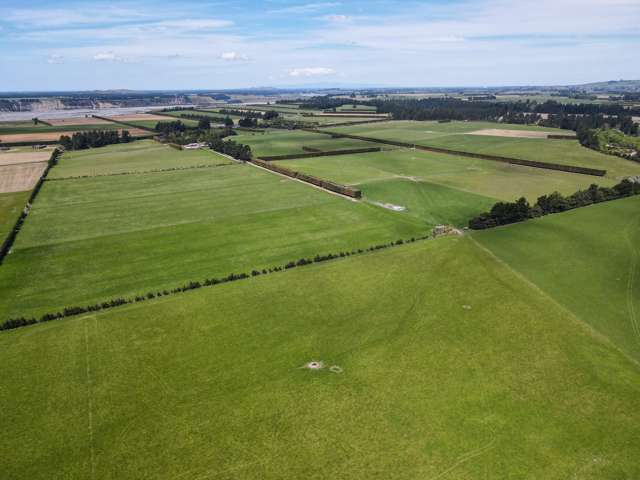 Kowai Road Springfield_2