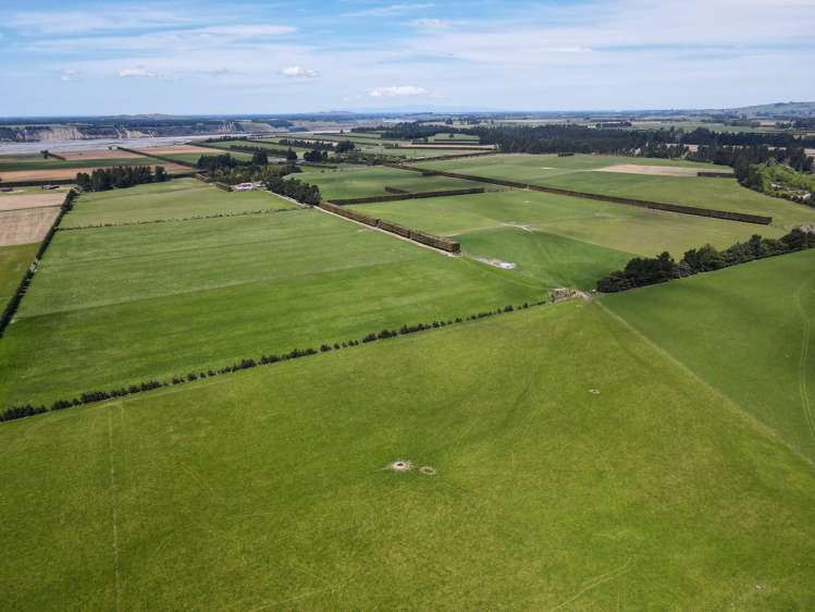 Kowai Road Springfield_2