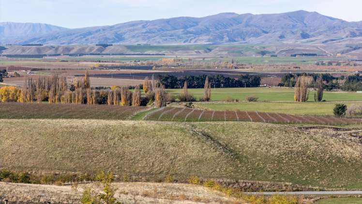 41 Cooper Lane Mount Pisa_20