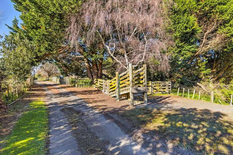 39A The Avenue Levin_21