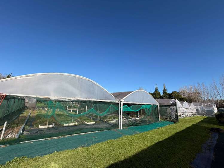 18 Brigham Creek Road Whenuapai_13