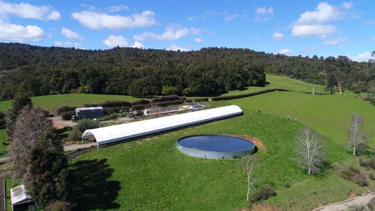 969 Piakonui Road Richmond Downs_1