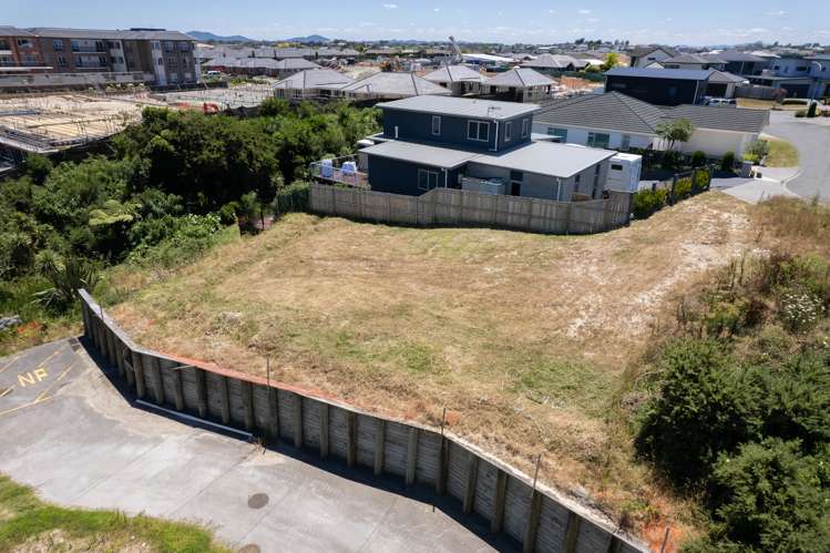 8 Paritai Place Flagstaff_6