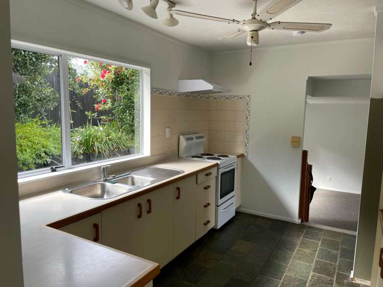 39 Palomino Drive Henderson_6