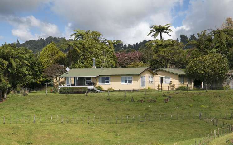 933 Whakamarama Road Whakamarama_0