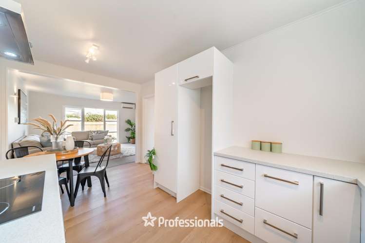 9a Elizabeth Avenue Heretaunga_9