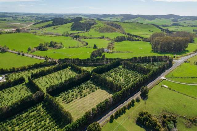 908A Te Ahu Ahu Road, Waimate North Kerikeri_2