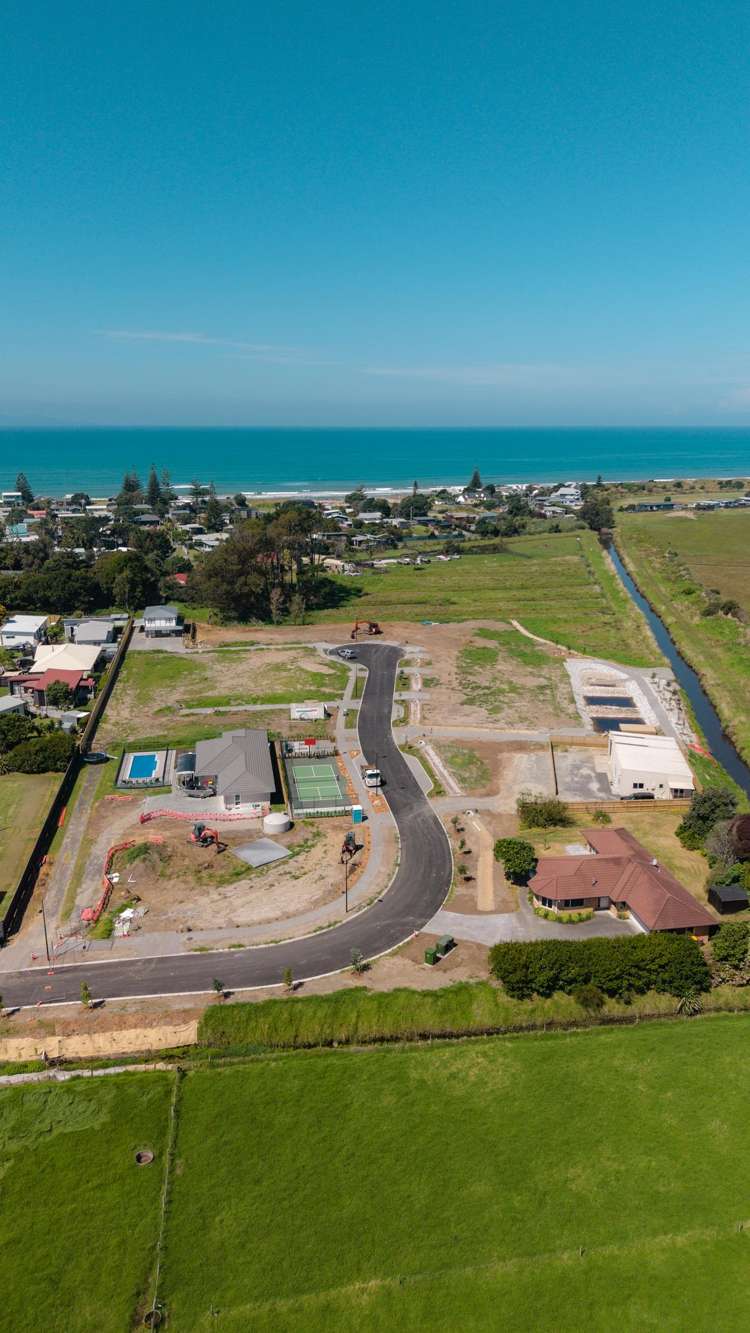 Citrus Avenue Waihi Beach_23