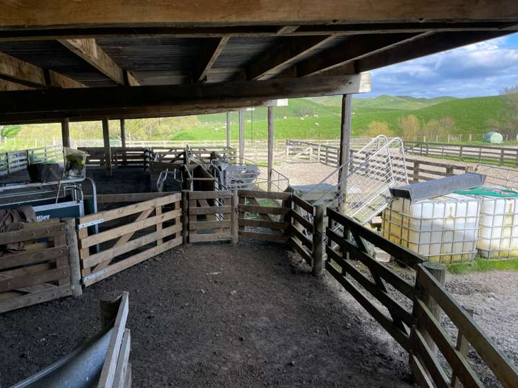 188 Waikakahi Road Pongaroa_12