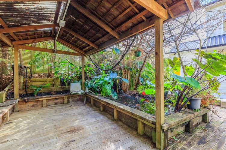 54 Gladys Avenue Glenfield_10