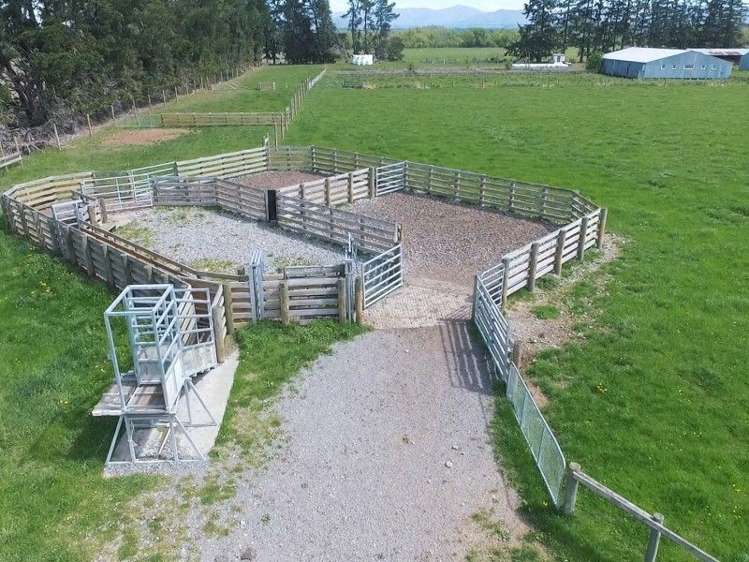 245 Goughs Crossing Road Ashburton Forks_5