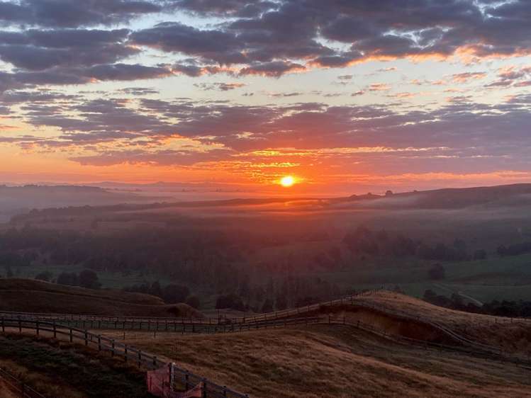 823 Wairamarama Onewhero Road Onewhero_23