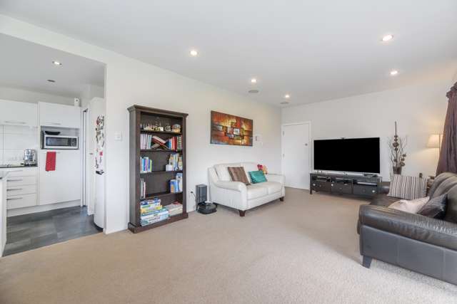 579 Hillsborough Road Mount Roskill_1