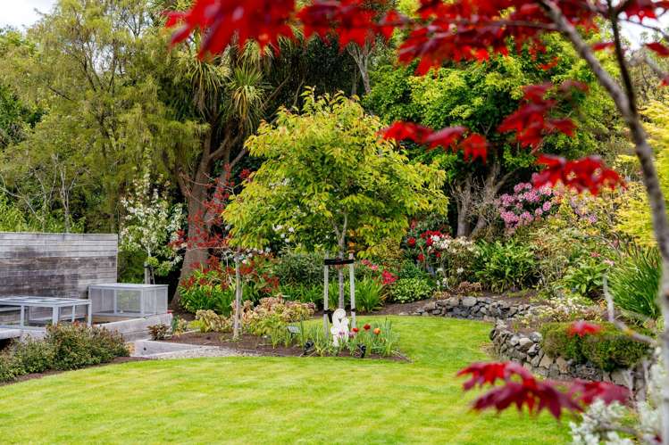 249 Taieri Road Wakari_36