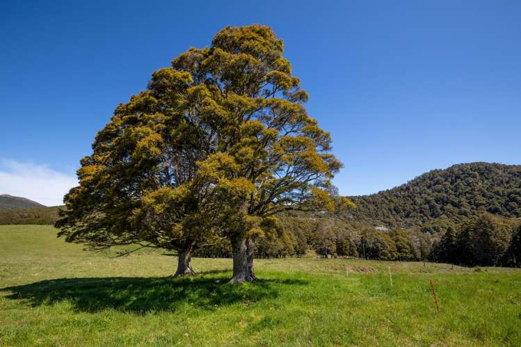 775 Canaan Road Takaka Hill_19