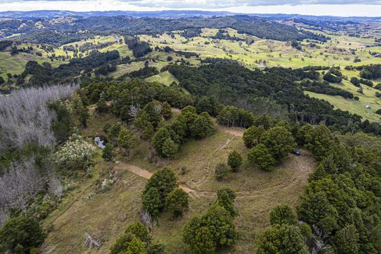 561 Riponui Road Purua Whangārei Houses for Sale One Roof