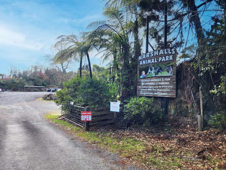 135E(a) McLaren Falls Road Omanawa_13