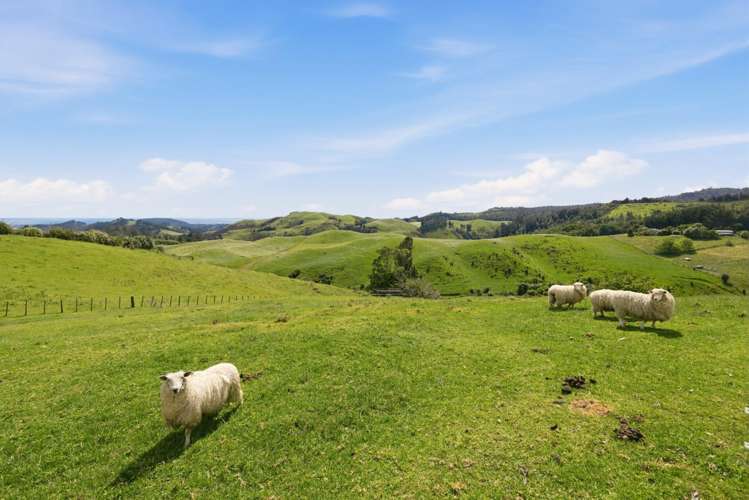 2A Kaitemako Road South Ohauiti_26