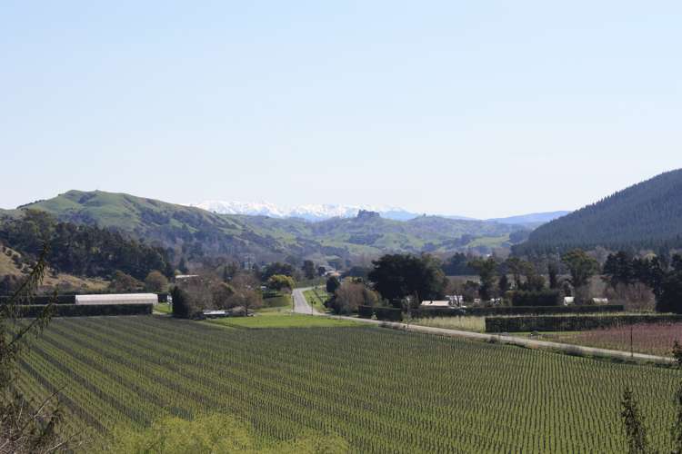 10 Eskdale Lane Bay View_13