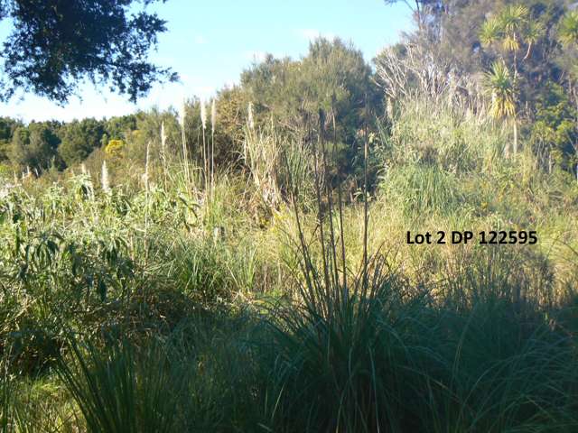Lot 2/3 Duddy Road Kaikohe Rd1_1