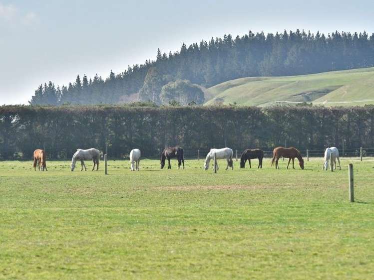 3 Glasnevin Road Amberley_15