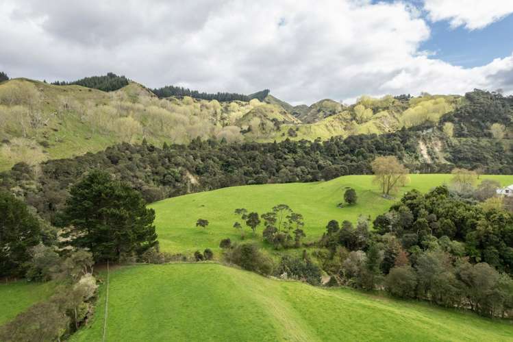 1471 Mangamahu Road Mangamahu_20