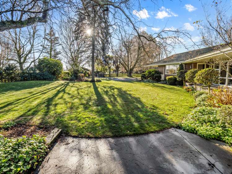 55 Peters Street Hinds_32