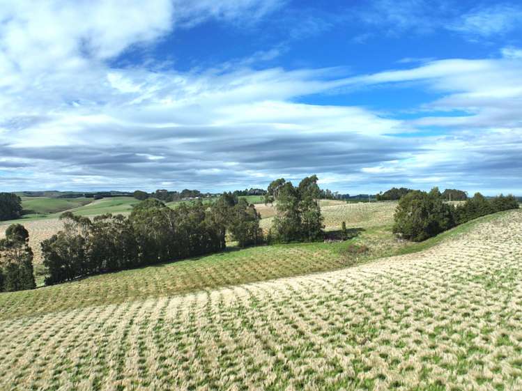 174 McCulloch Road Awamangu_34