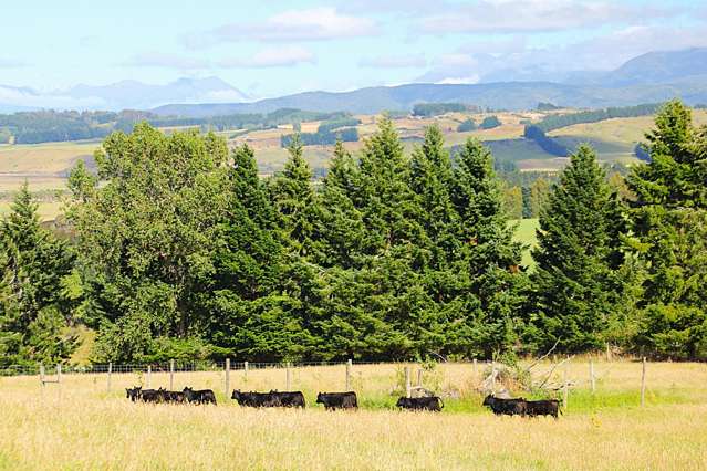 88 Ridgedale Road Te Anau_3