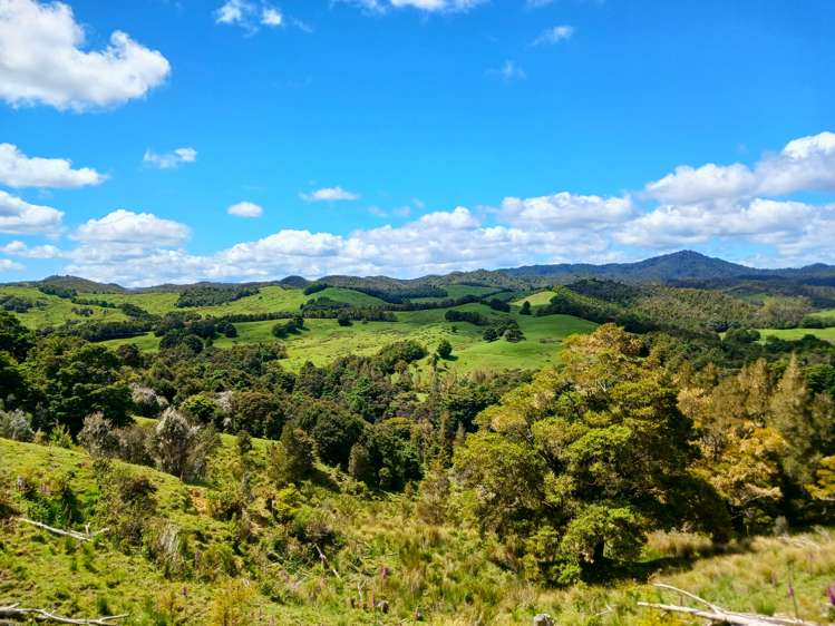 Lot 2 Otangaroa Road Kaeo_16