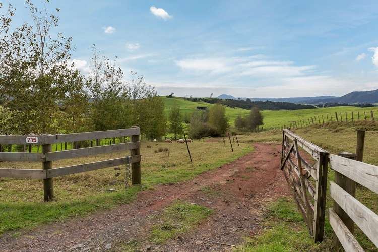 715 Three Mile Bush Road Ruatangata_11