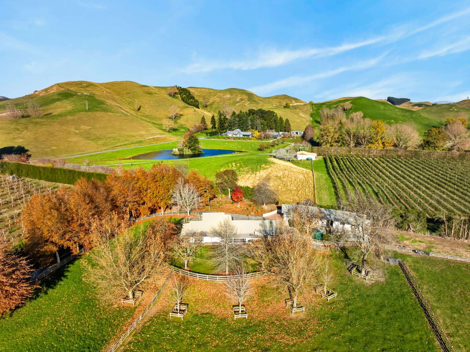529 Puketitiri Road Puketapu_0
