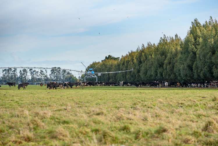 575 Leaches Road Hororata_5