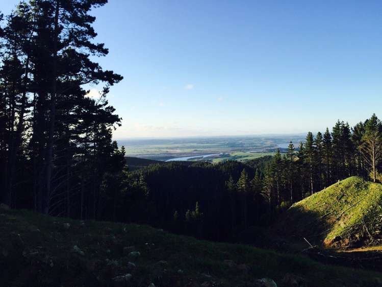 Klondyke Road Onewhero_10