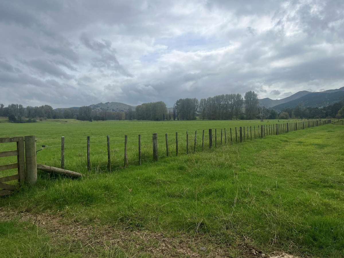 3567 Mangakahia Road_2