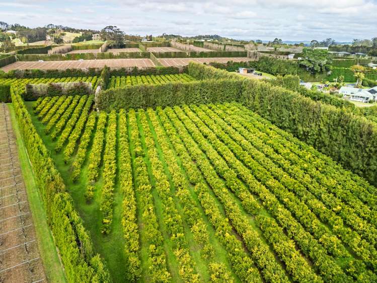 581D Kerikeri Road Kerikeri_8