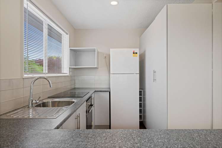 14 Cleghorn Street Redwoodtown_5