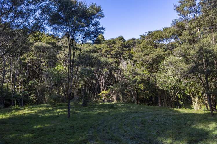 723B Whangarei Heads Road Parua Bay_19