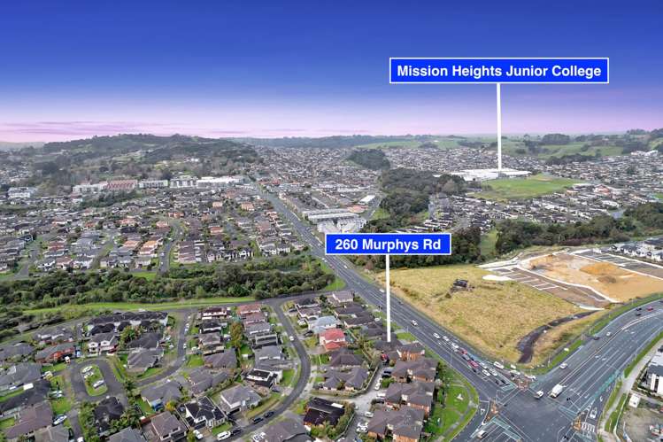 260 Murphys Road Flat Bush_28