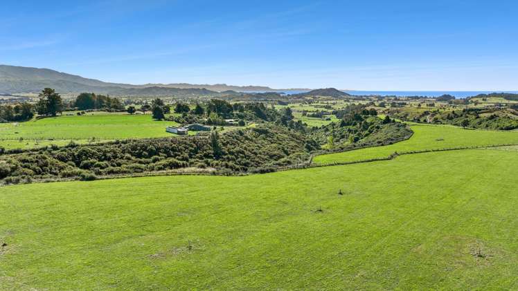 333 Packard Road Takaka_9