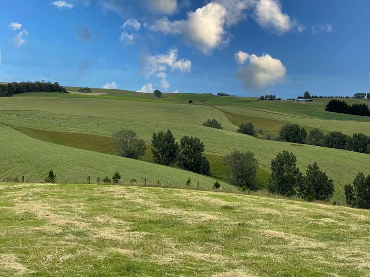 446 Skinner Road Clinton and Surrounds_8