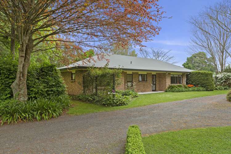 253 Kaipaki Road Ohaupo_1