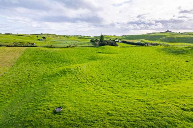 Lot Lot 2, 3 and 4 Mahuta Road Dargaville_4