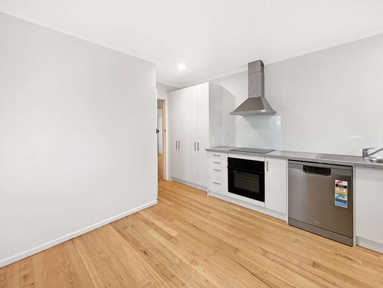 31 Wildish Street Outer Kaiti_2