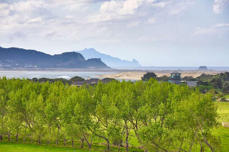 96 Tern Point Mangawhai_16