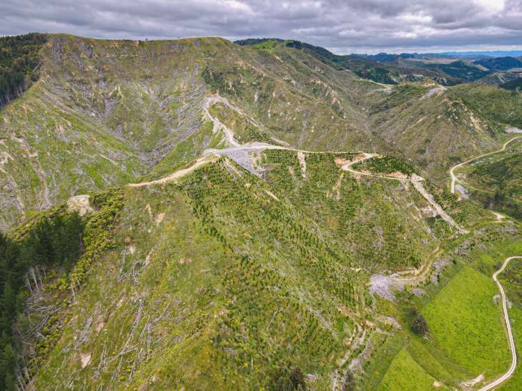 Rangitatau East Road Kai Iwi_1